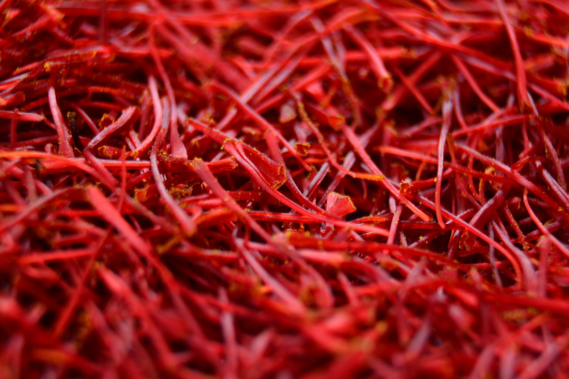 a close up of saffron threads