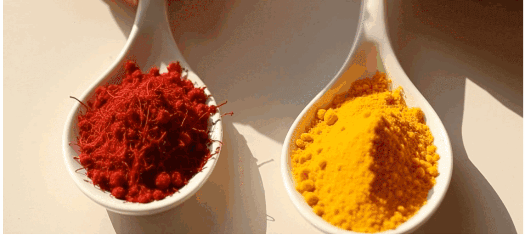 Two elegant spoons side by side on a clean, neutral background. One spoon holds vibrant red saffron threads, the other holds bright yellow turmeric powder. Soft natural lighting, minimal and premium style, with the contrast in color and texture clearly visible.