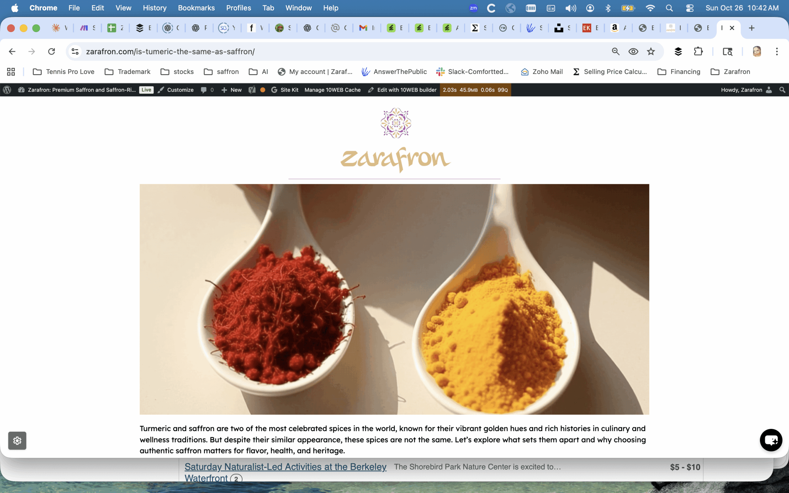 Two elegant spoons side by side on a clean, neutral background. One spoon holds vibrant red saffron threads, the other holds bright yellow turmeric powder. Soft natural lighting, minimal and premium style, with the contrast in color and texture clearly visible.