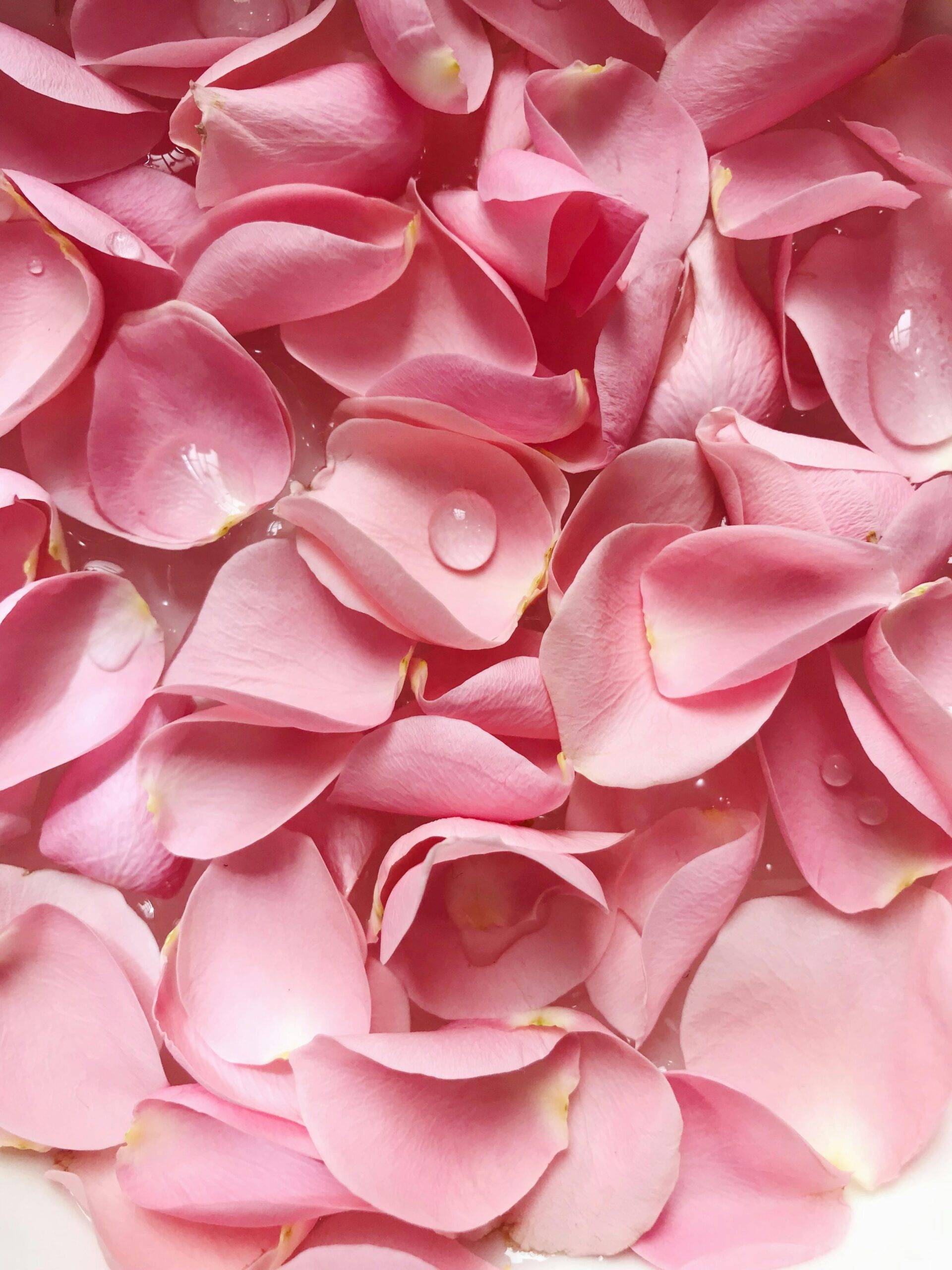 Pink petals